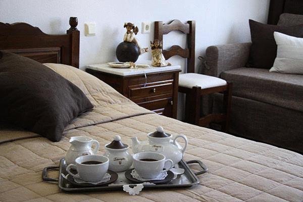 Hotel Petrino Makrinítsa Extérieur photo